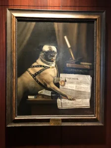 Pipe Smoking Pug Discovered During Cincinnati Enquirer’s Move